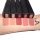 Anastasia Beverly Hills Spring Liquid Matte Lipstick Swatches 